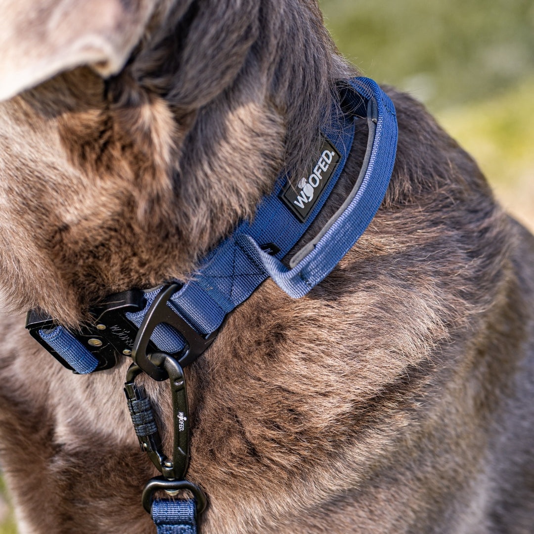 Nylon Pro Führleine Midnight Blue