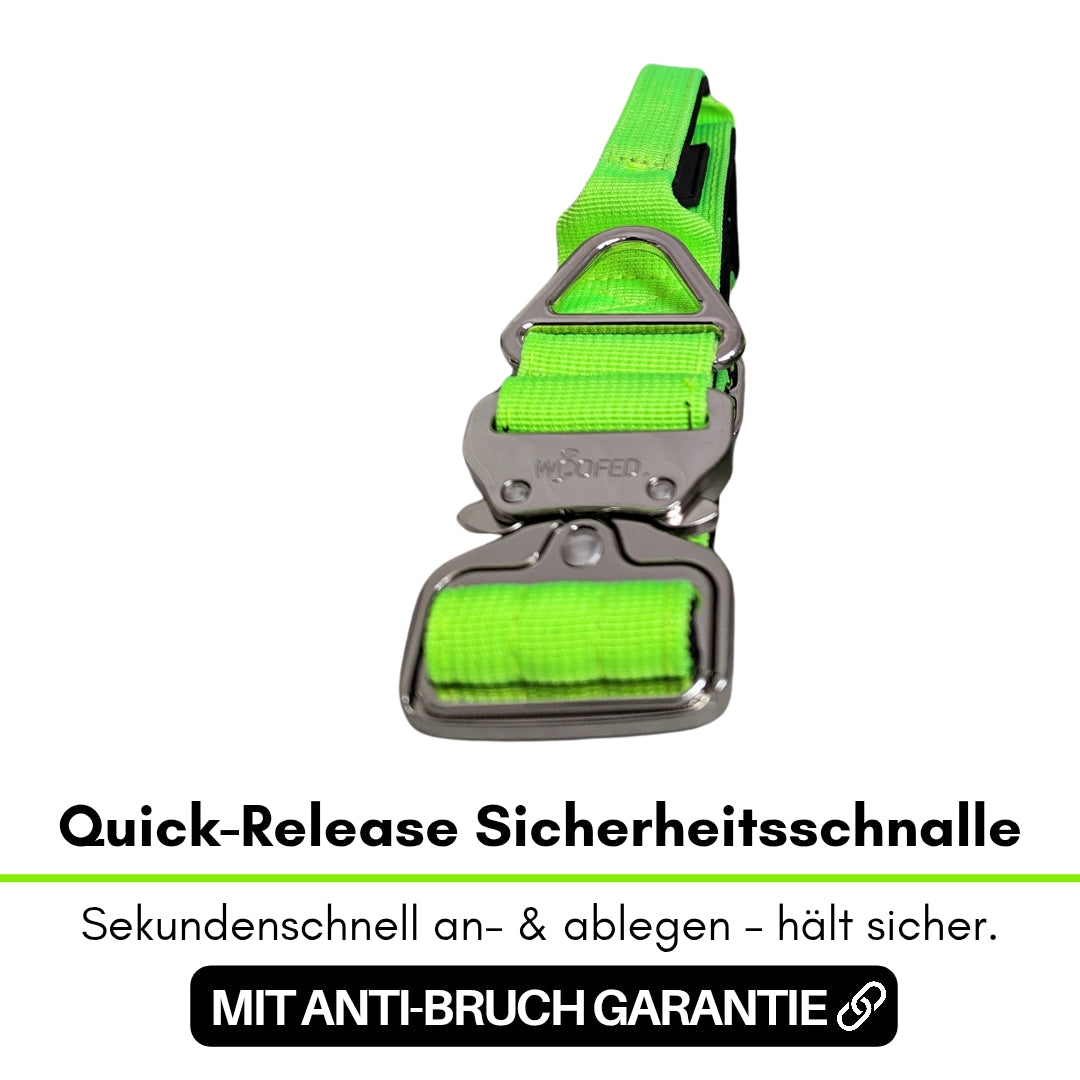 taktisches Nylon Halsband Apple Green