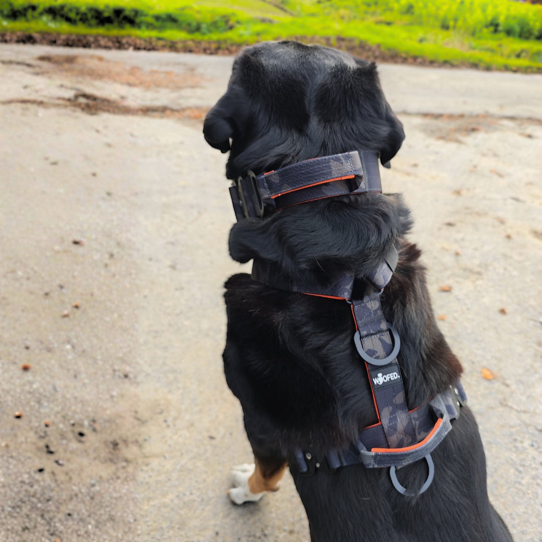 Y-Hundegeschirr 4fach-verstellbar mit Griff und Sicherheitsschnallen Signal Camo - ultraleicht