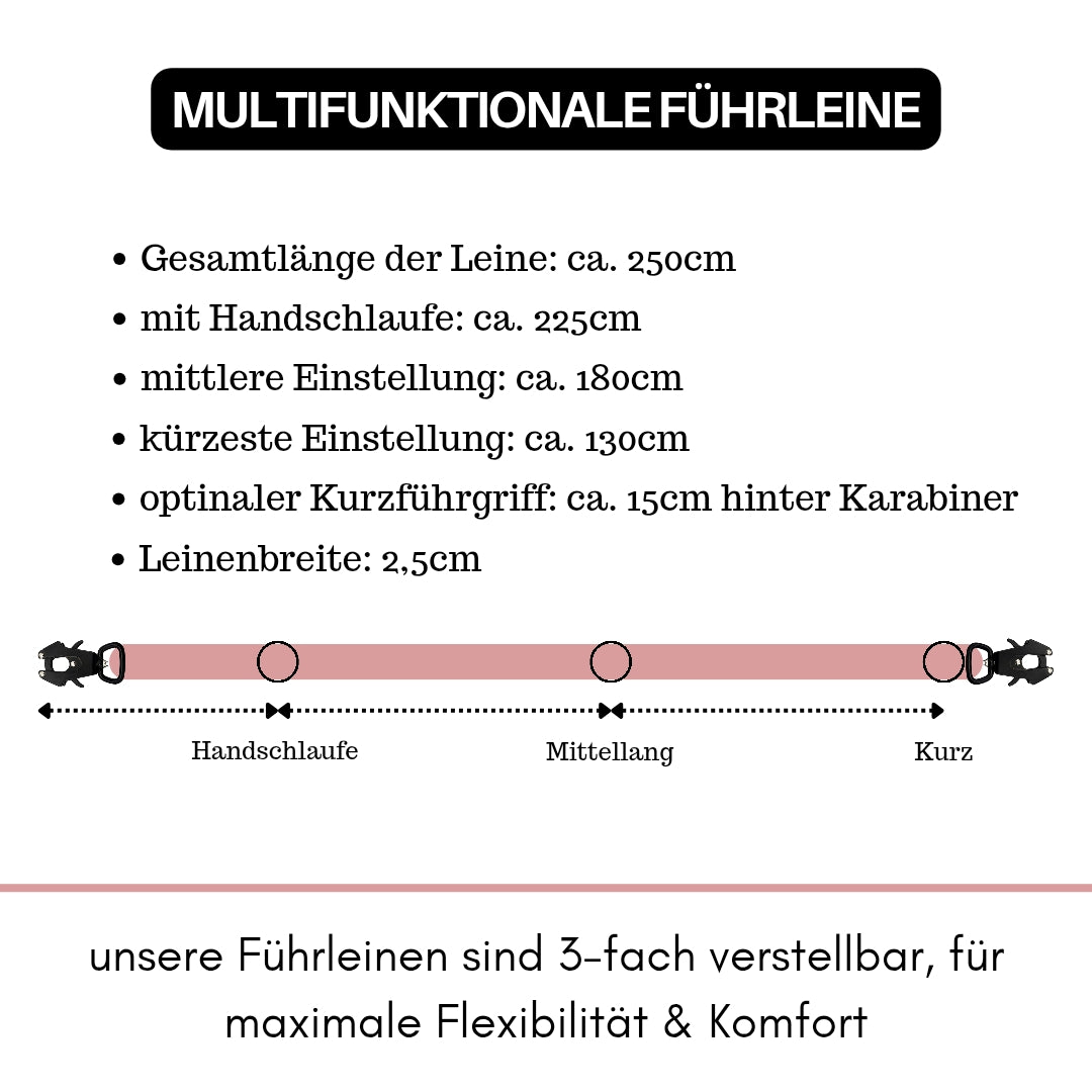taktische Nylon Führleine Dusty Rose