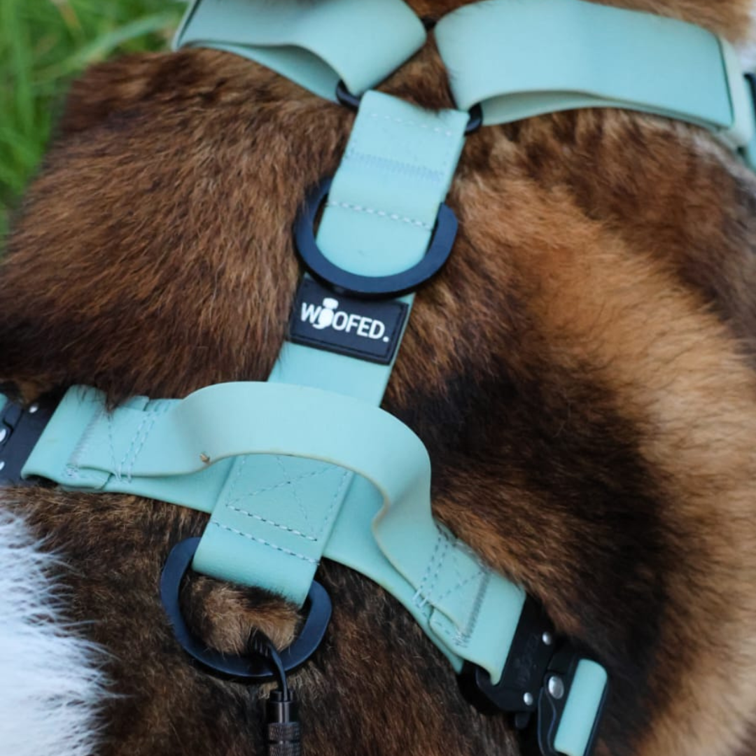 Y-Hundegeschirr WOOFLEX® 4fach-verstellbar mit Griff und Sicherheitsschnallen Jade Green - wasserfest