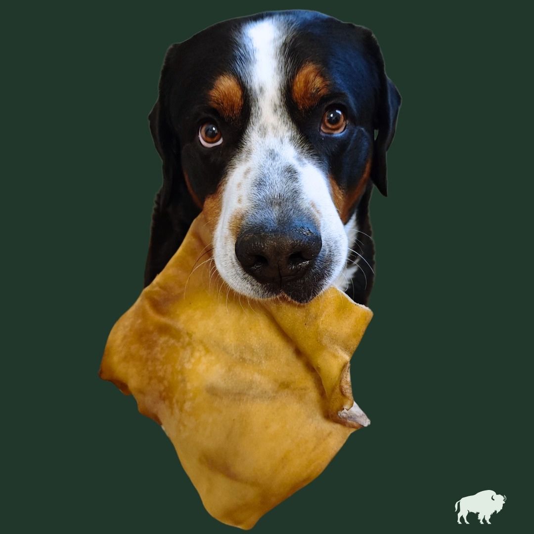 Büffelkopfhaut Platten