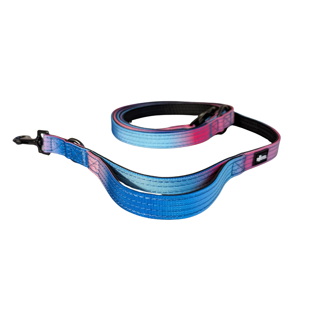 Nylon Classic Führleine Pink Blue Sky