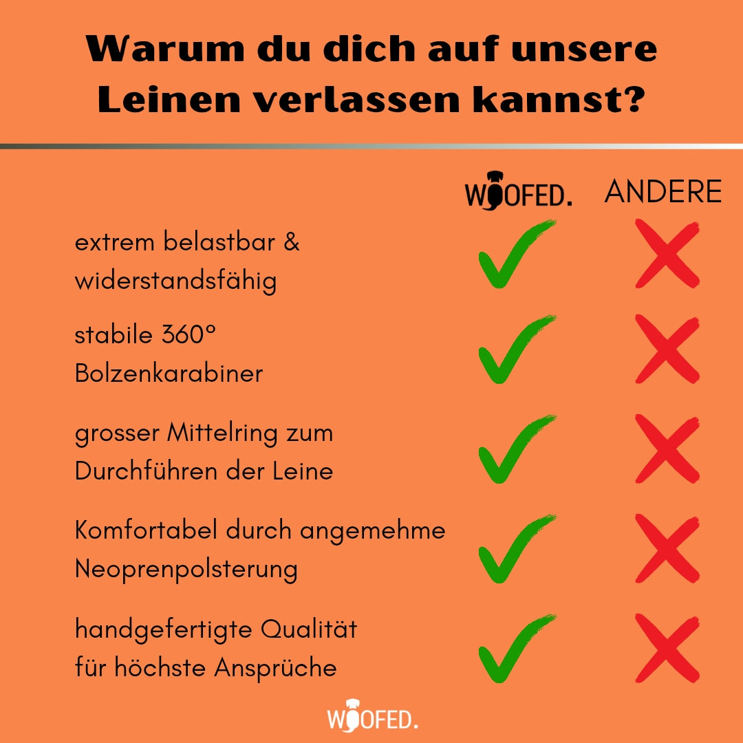 Nylon Classic Führleine Safety Orange