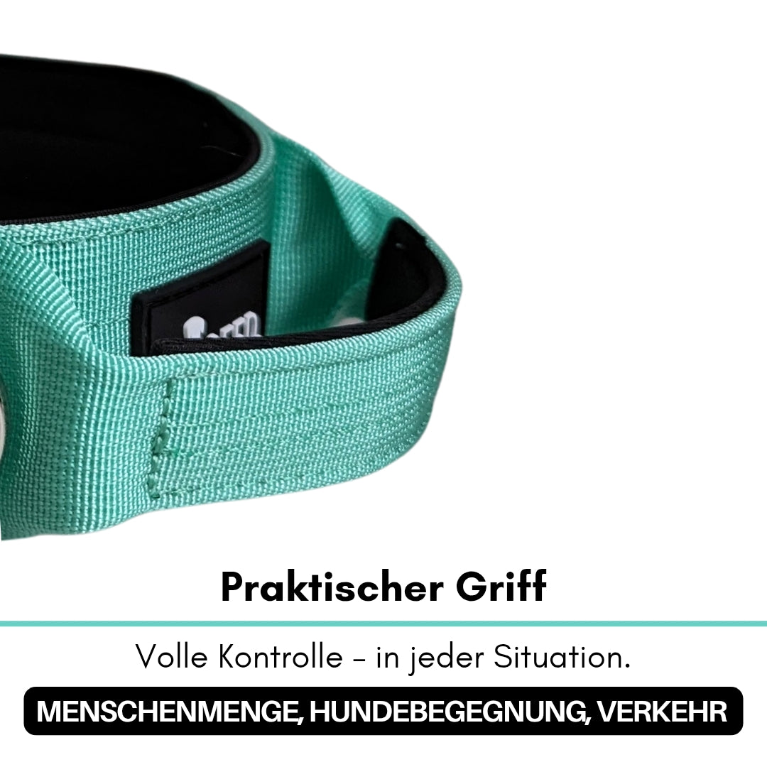 taktisches Nylon Halsband Seafoam