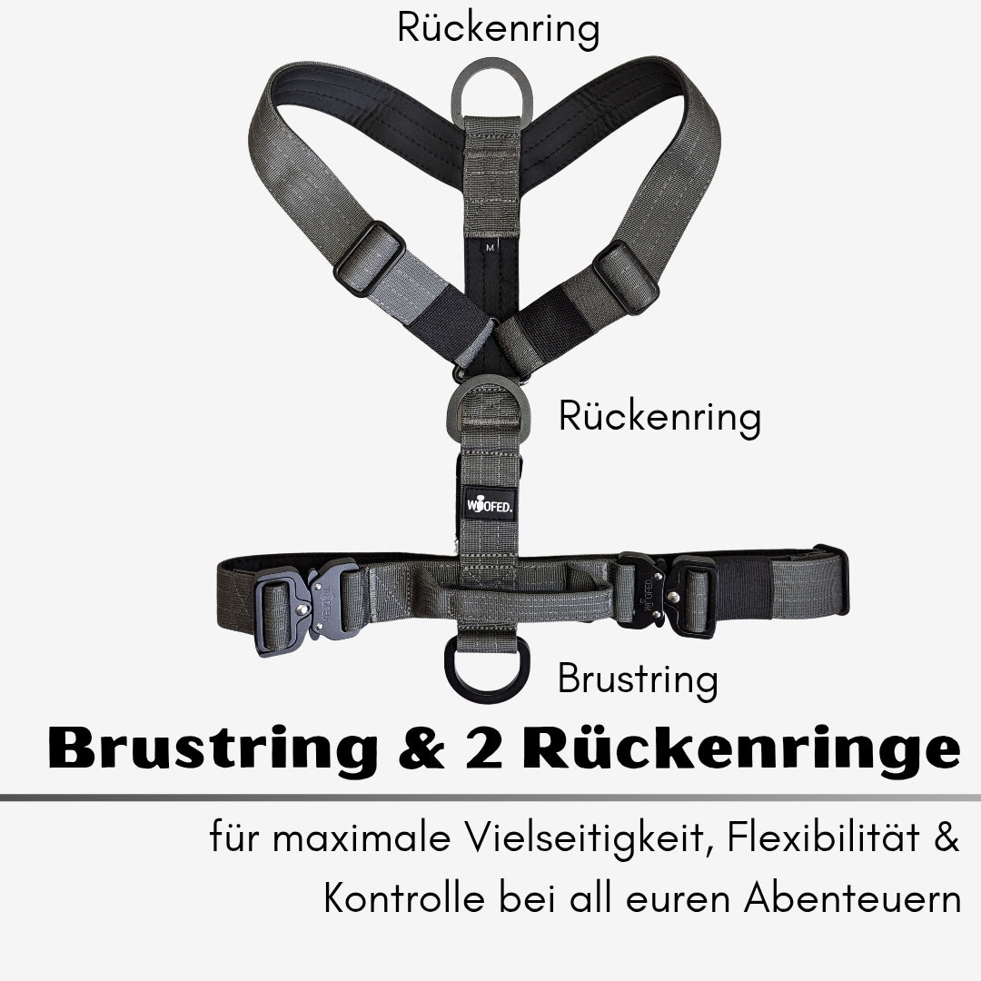 Y-Hundegeschirr 4fach-verstellbar mit Griff und Sicherheitsschnallen Anthracite - ultraleicht