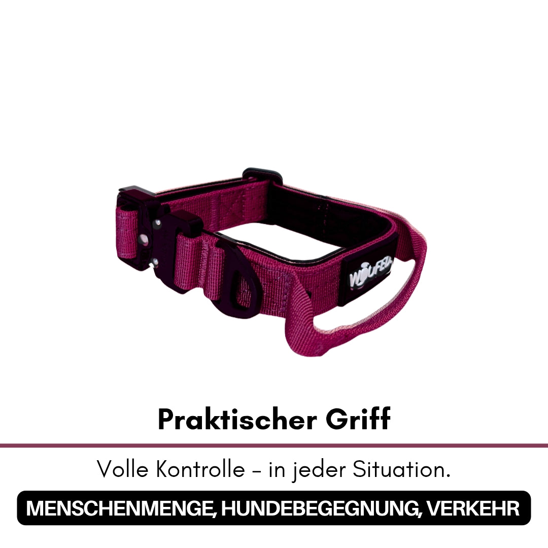 Nylon Tactical Halsband für kleine Hunde Bordeaux