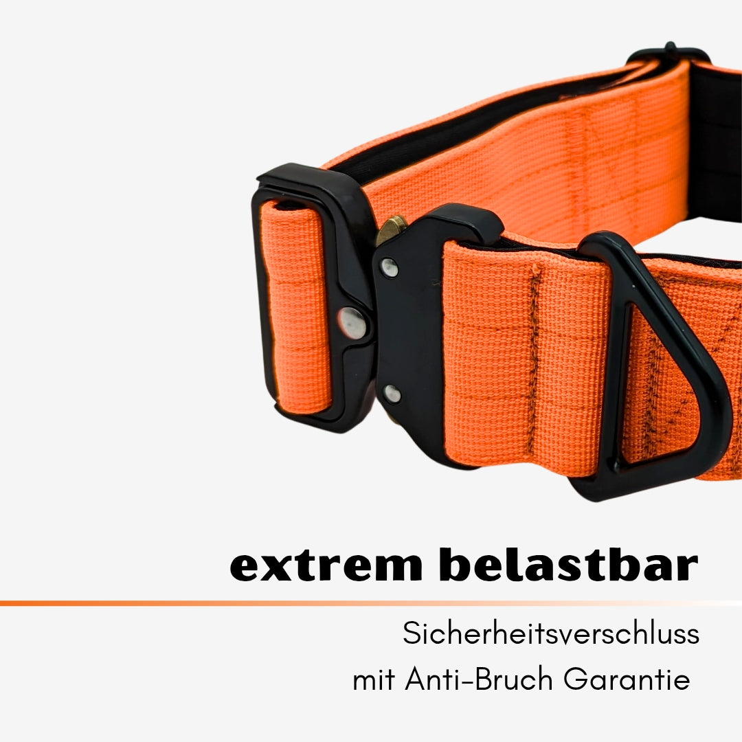 Nylon Tactical Collar Safety Orange