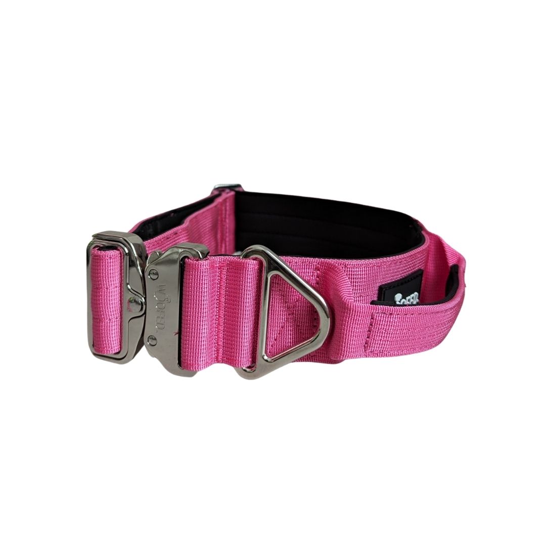 taktisches Nylon Halsband Raspberry