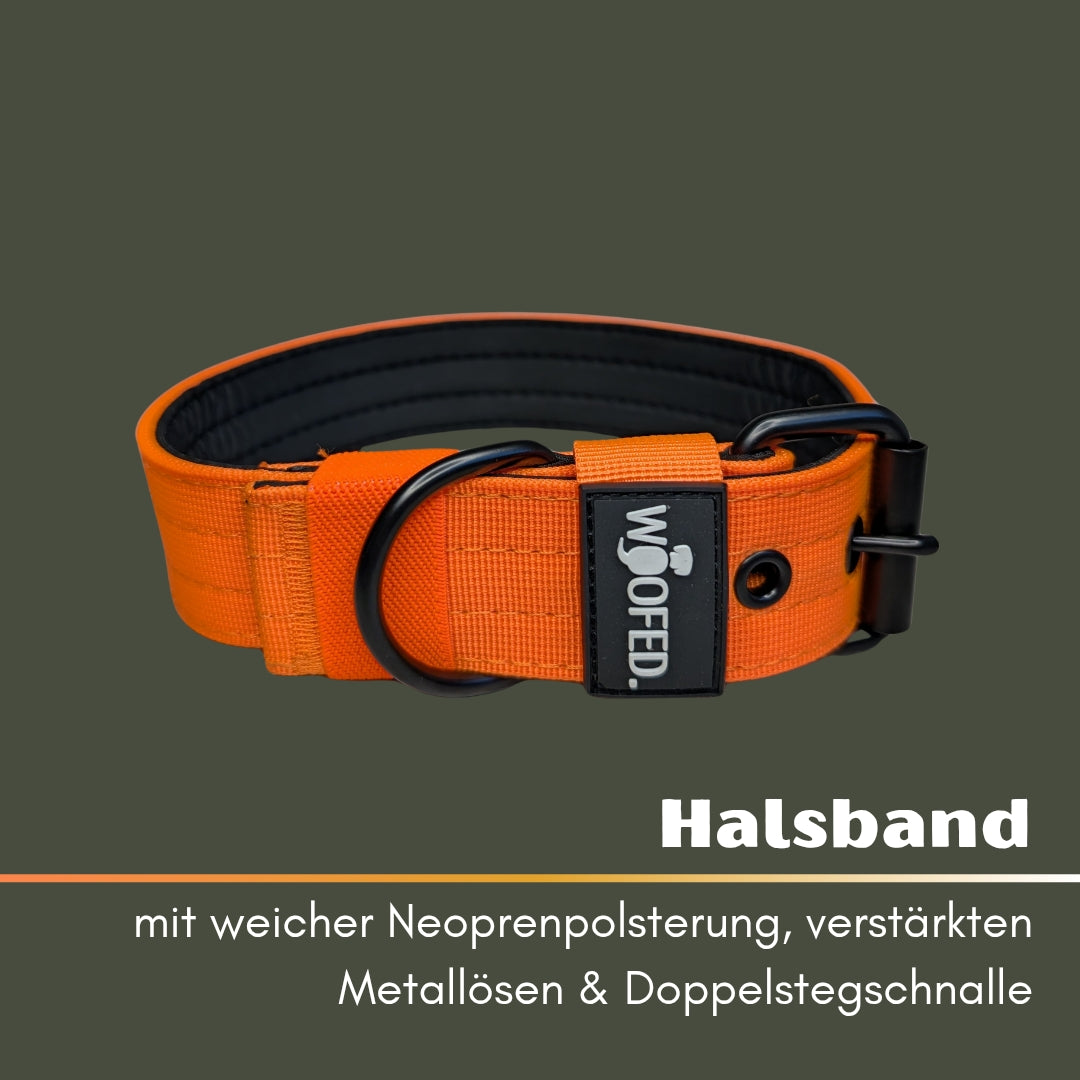 Nylon Classic Halsband Safety Orange