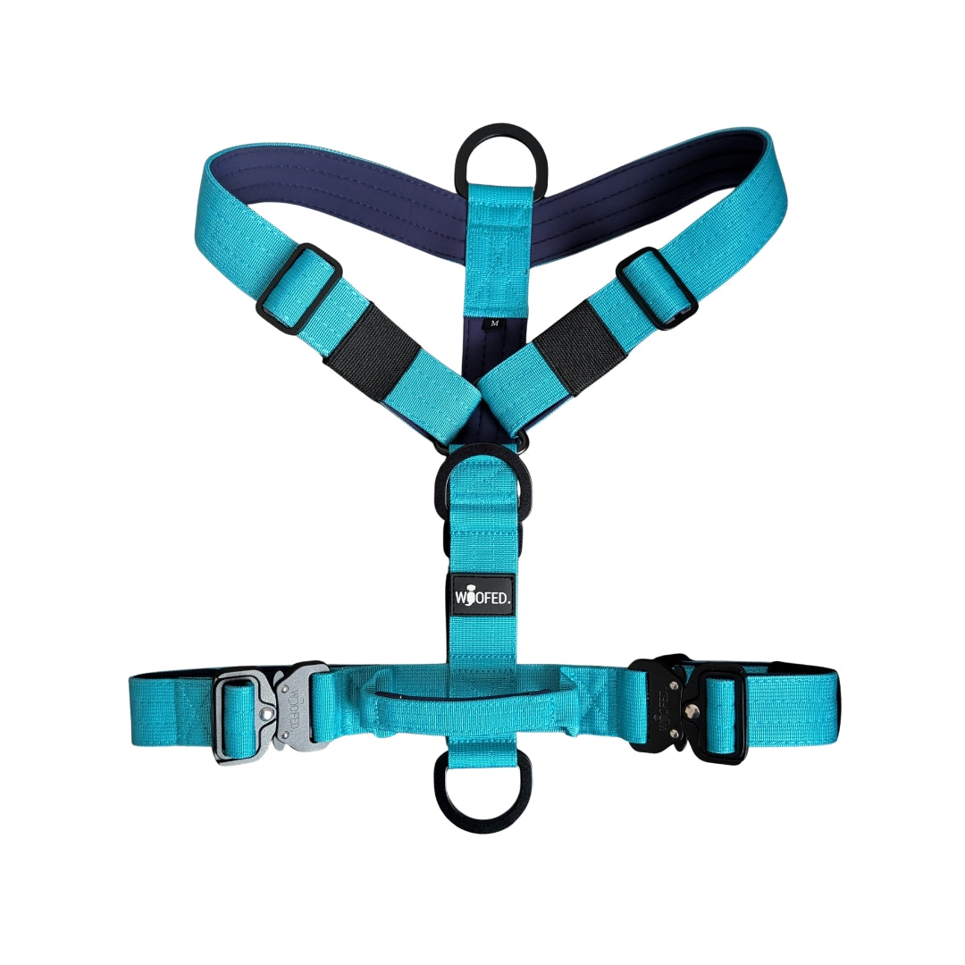 Y-Hundegeschirr 4fach-verstellbar mit Griff und Sicherheitsschnallen Arctic Sky - ultraleicht