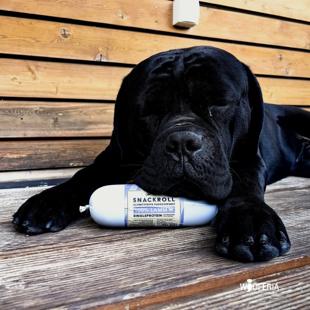 Hundewurst Lamm