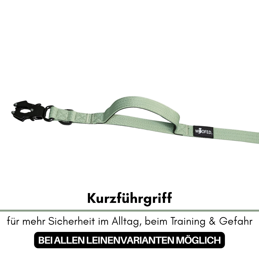Salbeigrüne Nylon-Leine flach auf weißem Hintergrund mit kurzem Führgriff, schwarzem Karabiner und WOOFED-Label