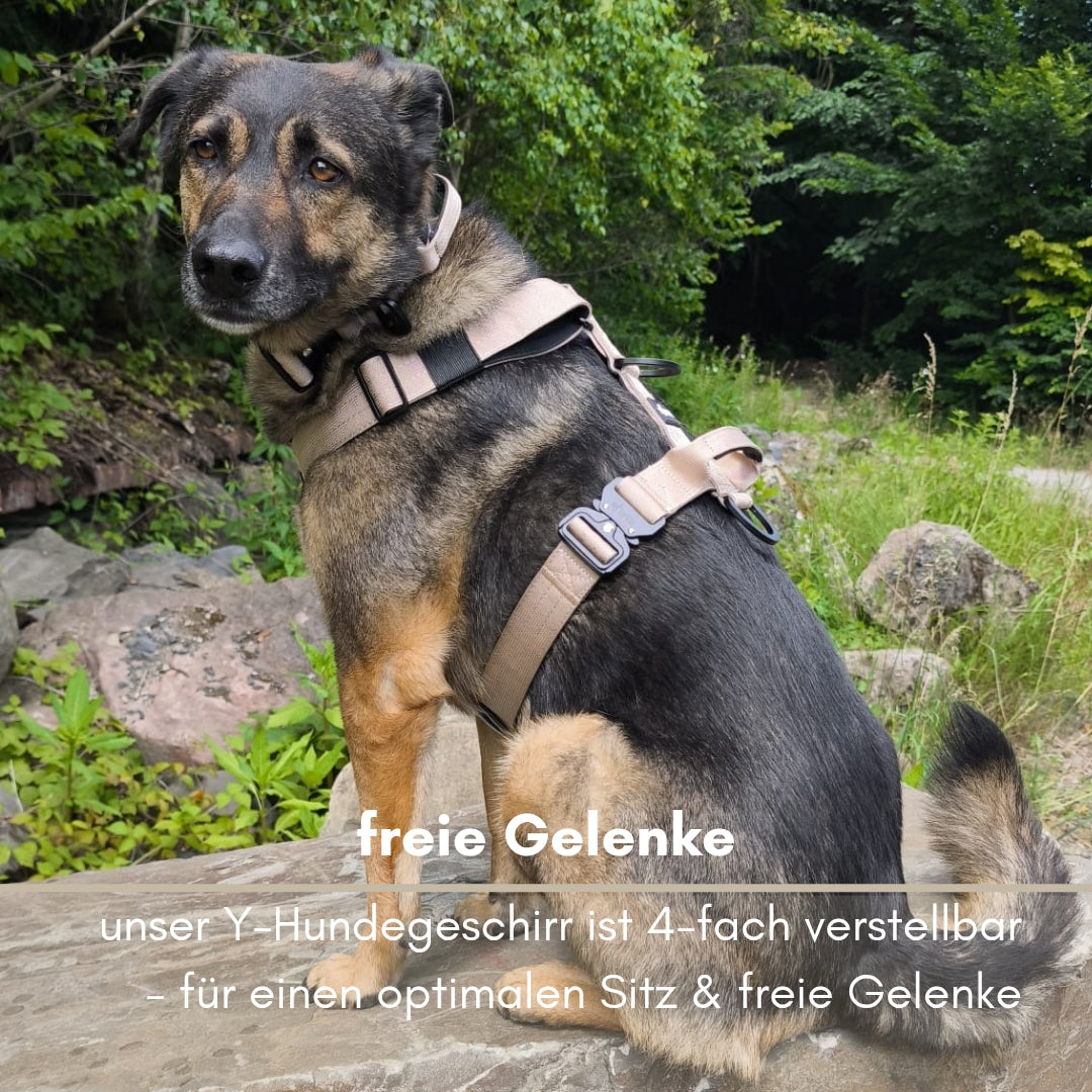Y-Hundegeschirr 4fach-verstellbar mit Griff und Sicherheitsschnallen Desert Tan - ultraleicht