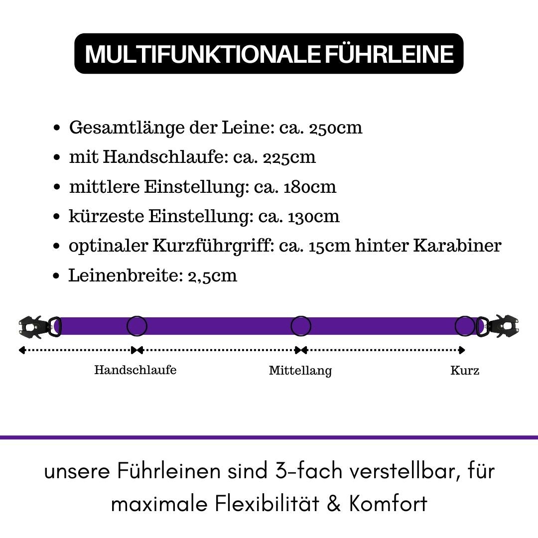 Nylon Halsband-Leine-Set Velvet Purple ultraleicht