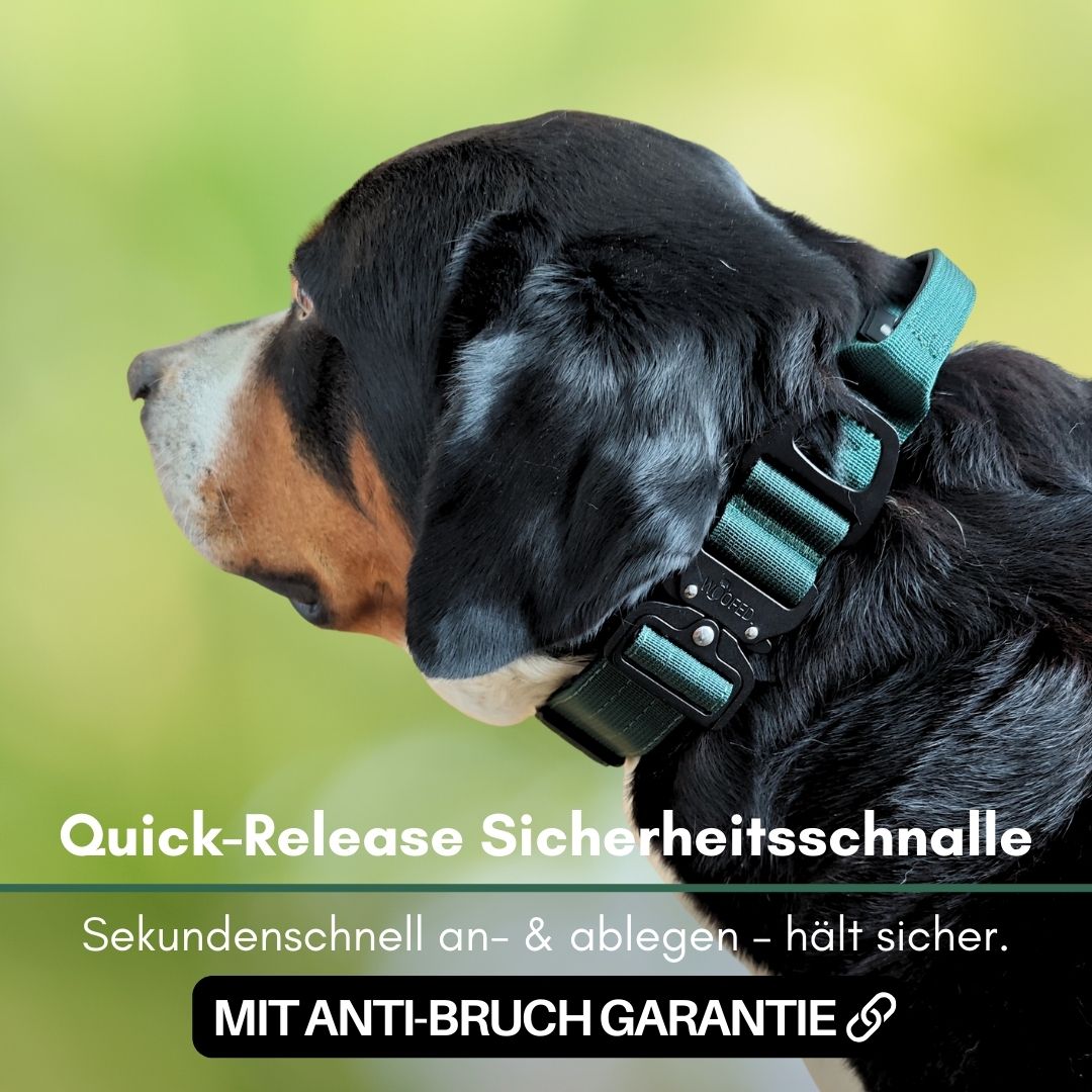 taktisches Nylon Halsband mit Griff Dark Green - ultraleicht