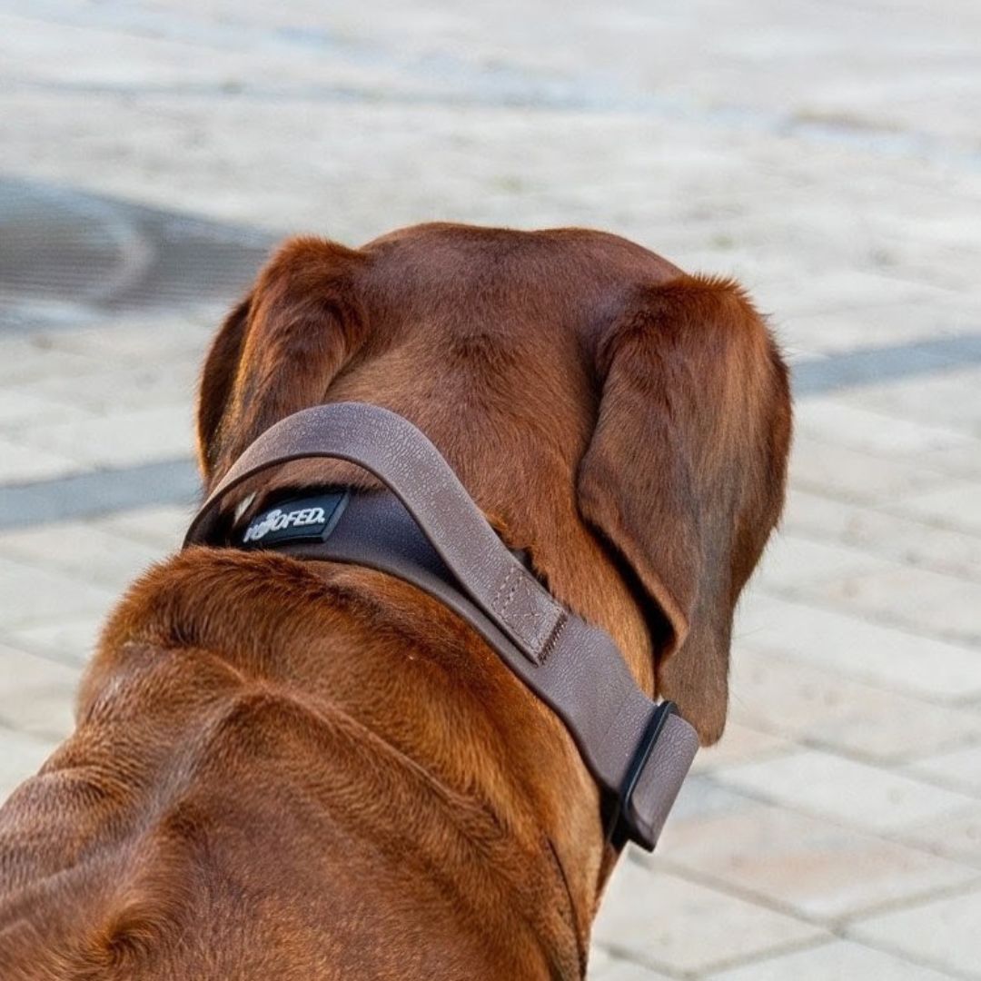 Halsband WOOFLEX® Tactical verstellbar mit Griff Espresso