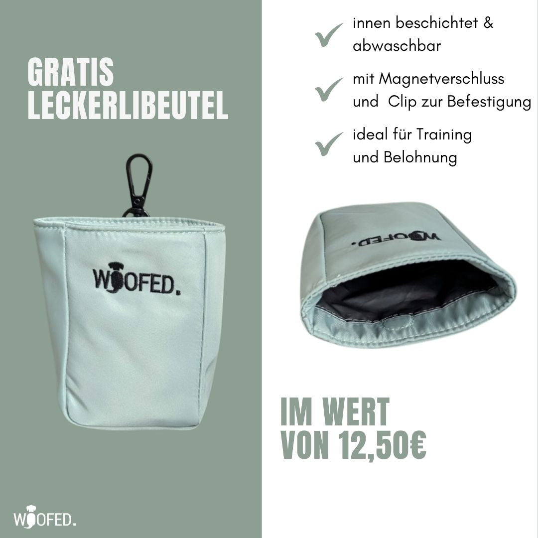 Multifunktionale Gassitasche - 2 in 1 Bauchtasche & Schultertasche Sage