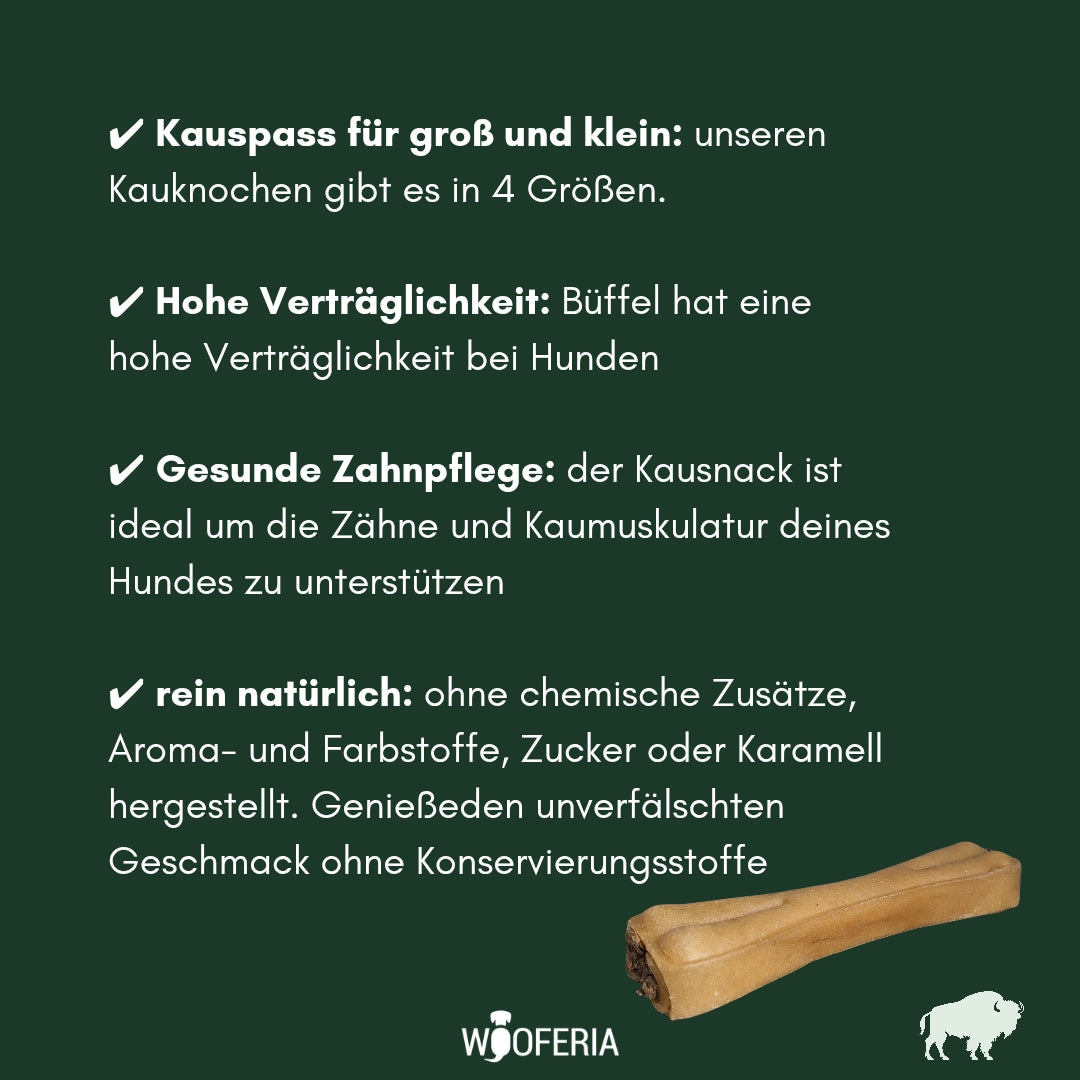 Beiger Pansen-Kauknochen (Rinderhaut) mit dunkler Pansenfüllung, schräg auf grünem Hintergrund