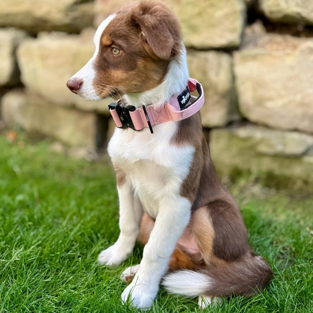 Taktisches Hundehalsband Pink Camo – Verstellbares Nylonhalsband Mit Griff, Für Große Hunde, Mit USA-Flaggen-Patch
