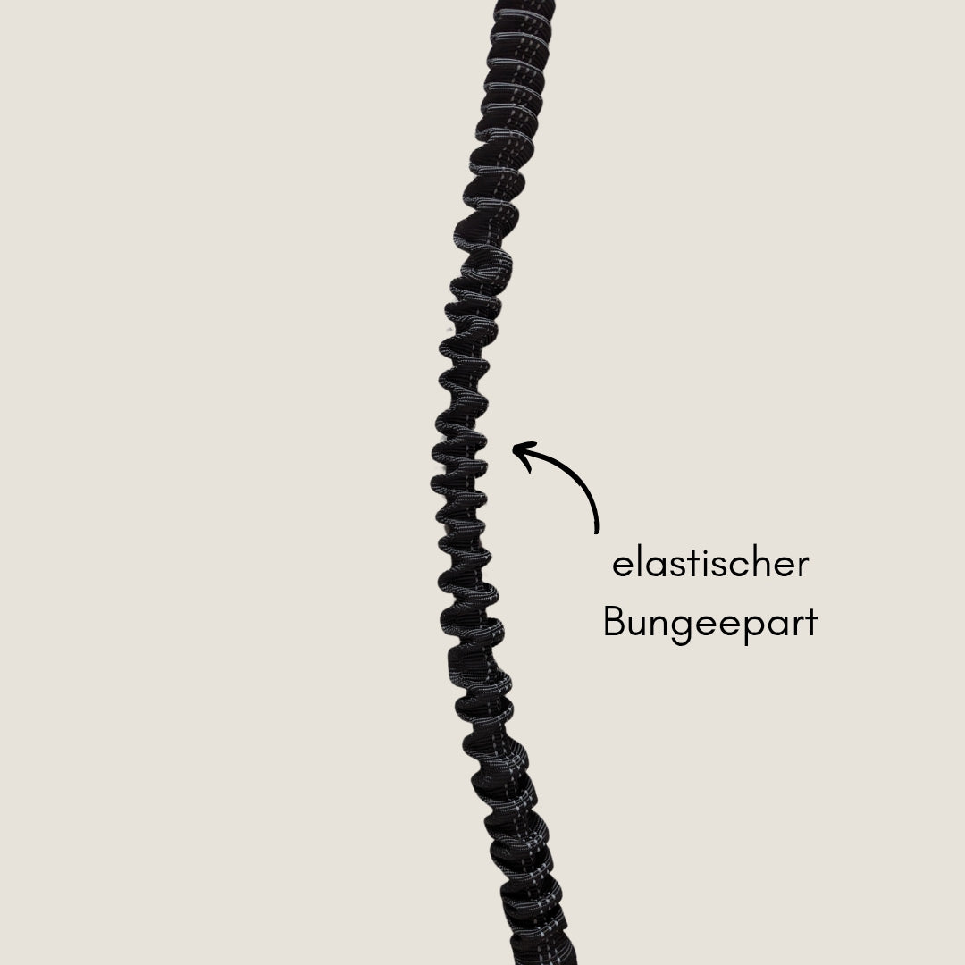 Jogging- & Wanderleine mit Handschlaufe, Bungee-Ruckdämpfer & Sicherheitskarabiner aus Nylon