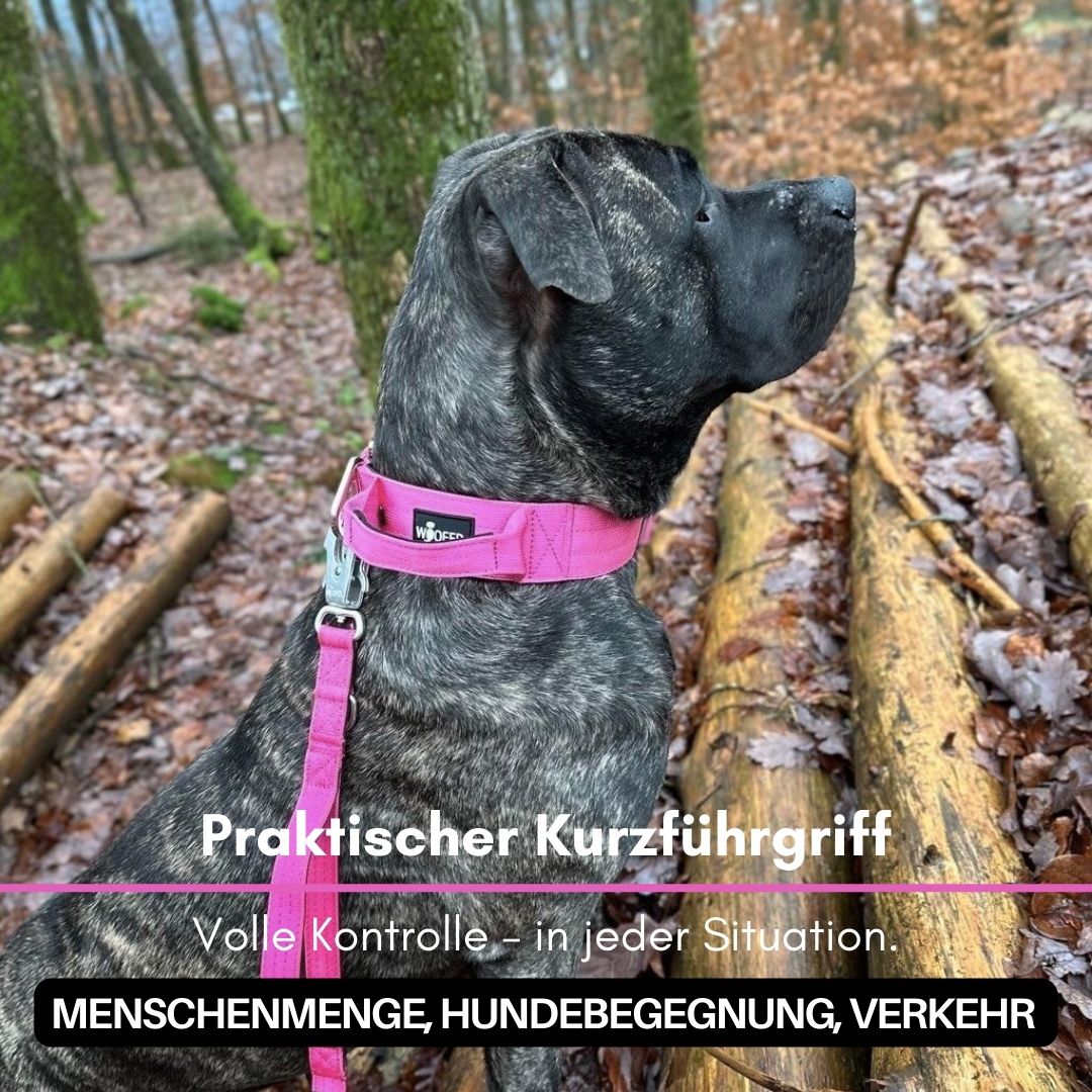 taktische Nylon Führleine Raspberry