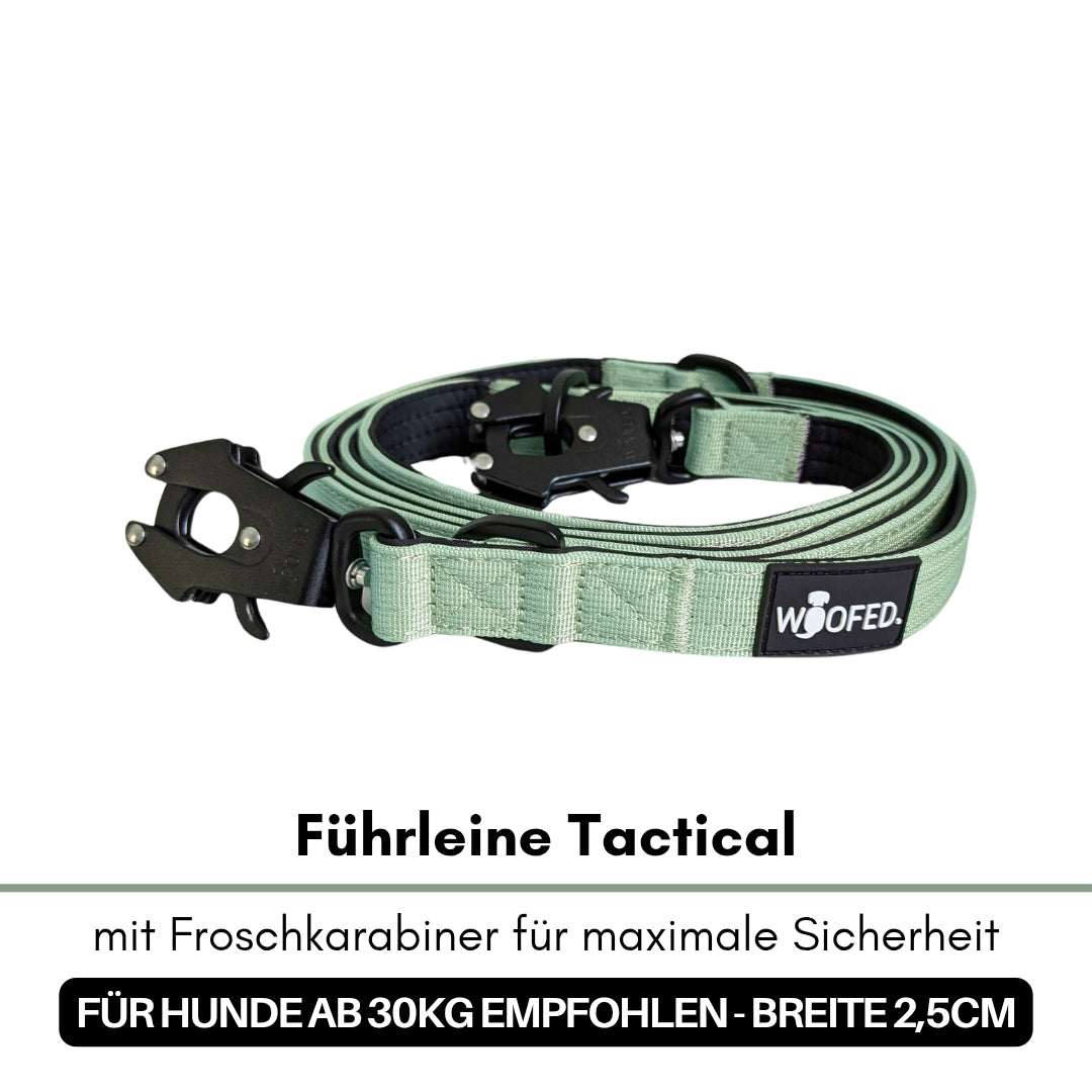 Aufgerollte salbeigrüne Tactical-Leine mit schwarzem Froschkarabiner und WOOFED‑Label, Draufsicht
