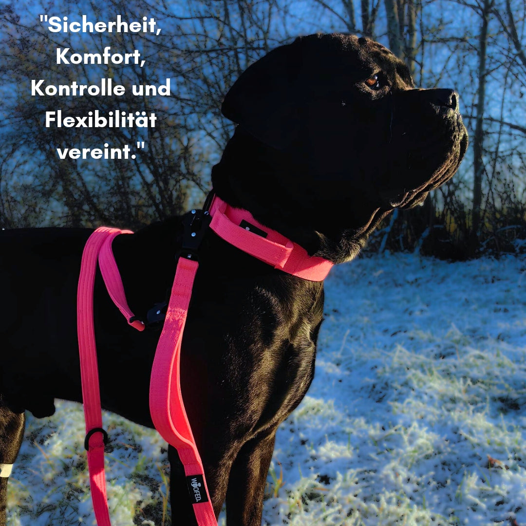 taktische Nylon Führleine Pink Bloom