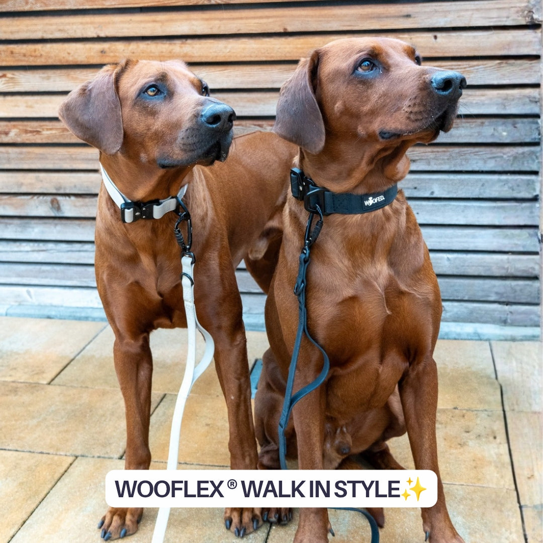 Halsband WOOFLEX® Tactical verstellbar ohne Griff Desert Sand