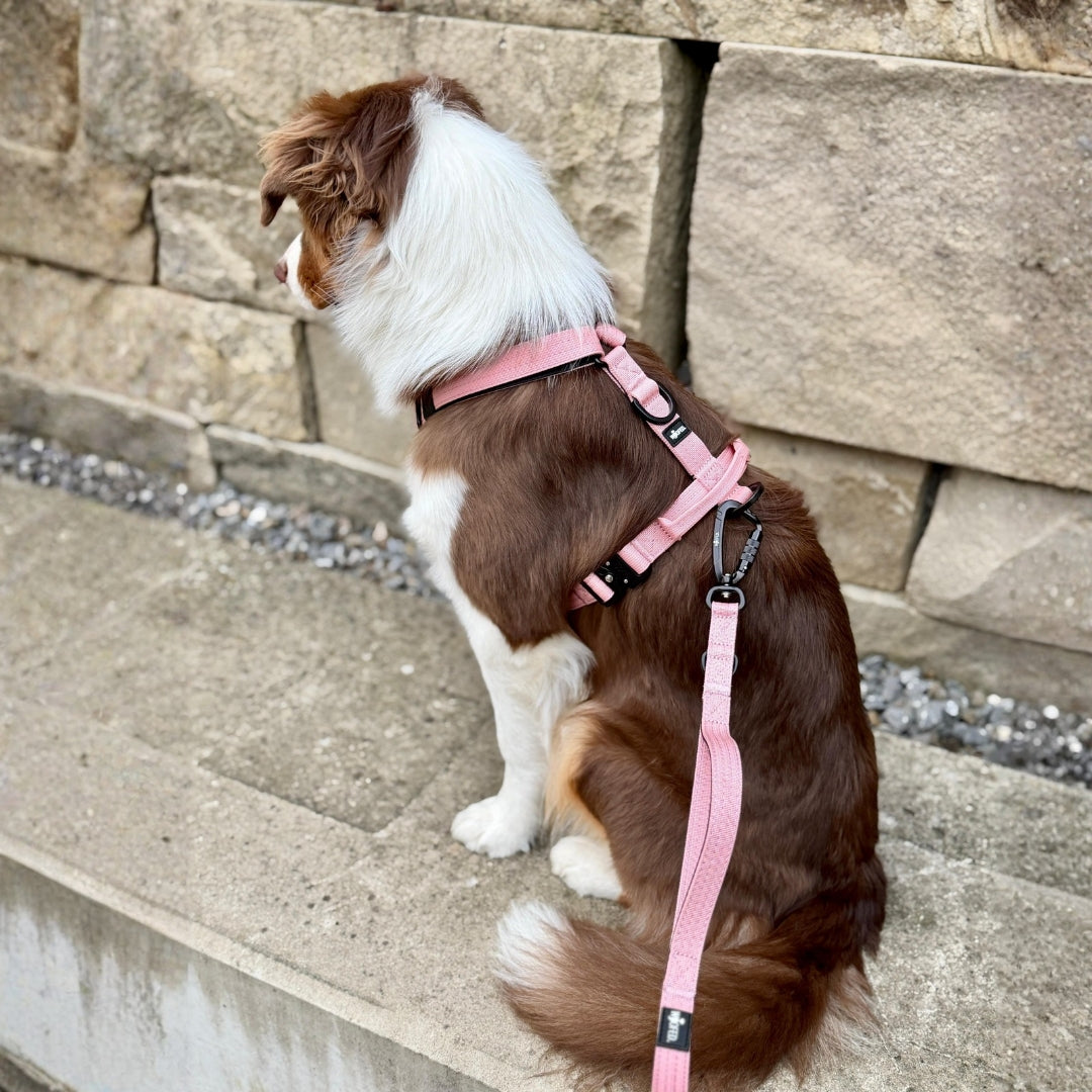 Y-Hundegeschirr 4fach-verstellbar mit Griff und Sicherheitsschnallen Dusty Rose - ultraleicht