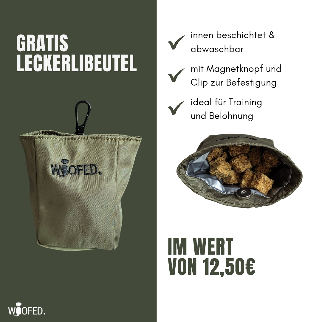 Multifunktionale Gassitasche - 2 in 1 Bauchtasche & Schultertasche Olive
