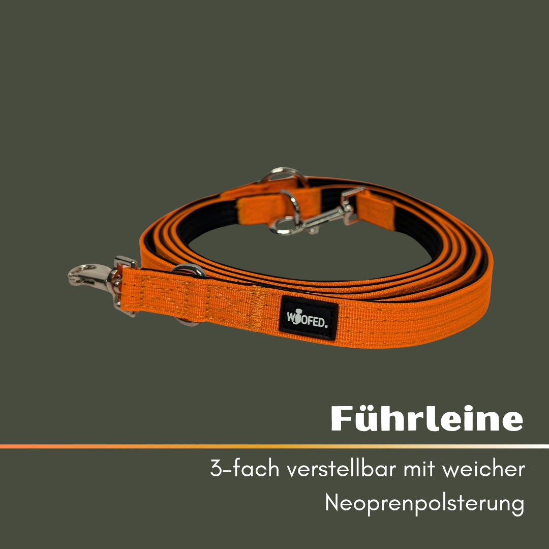 Nylon Classic Führleine Safety Orange