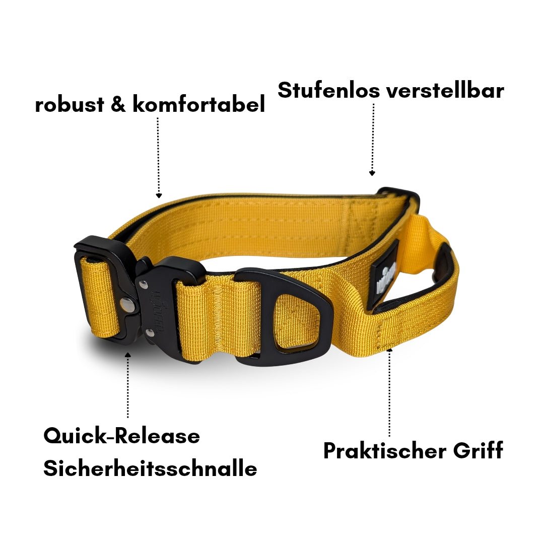 Nylon Halsband-Leine-Set Sunset Yellow ultraleicht