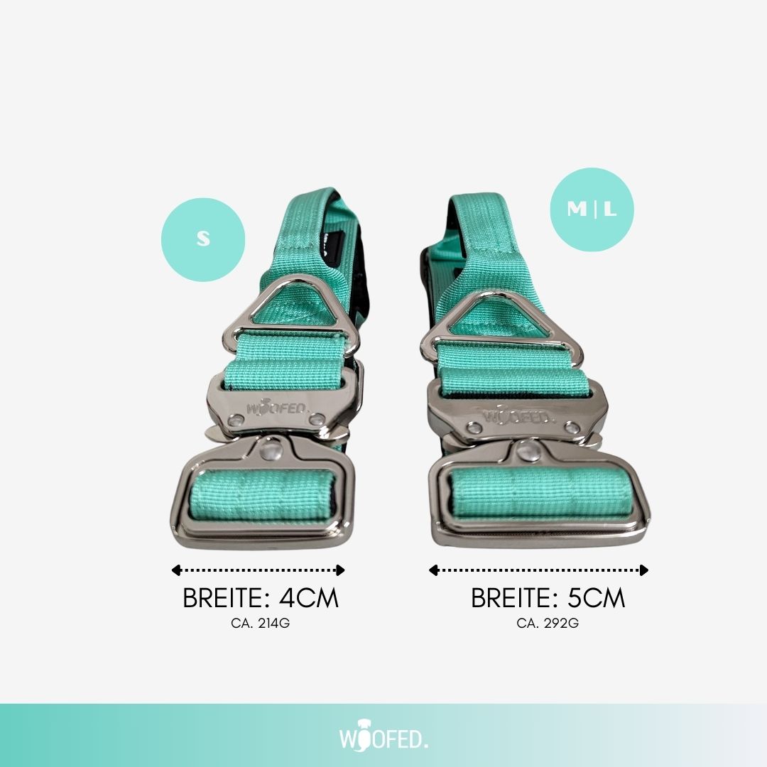 taktisches Nylon Halsband Seafoam