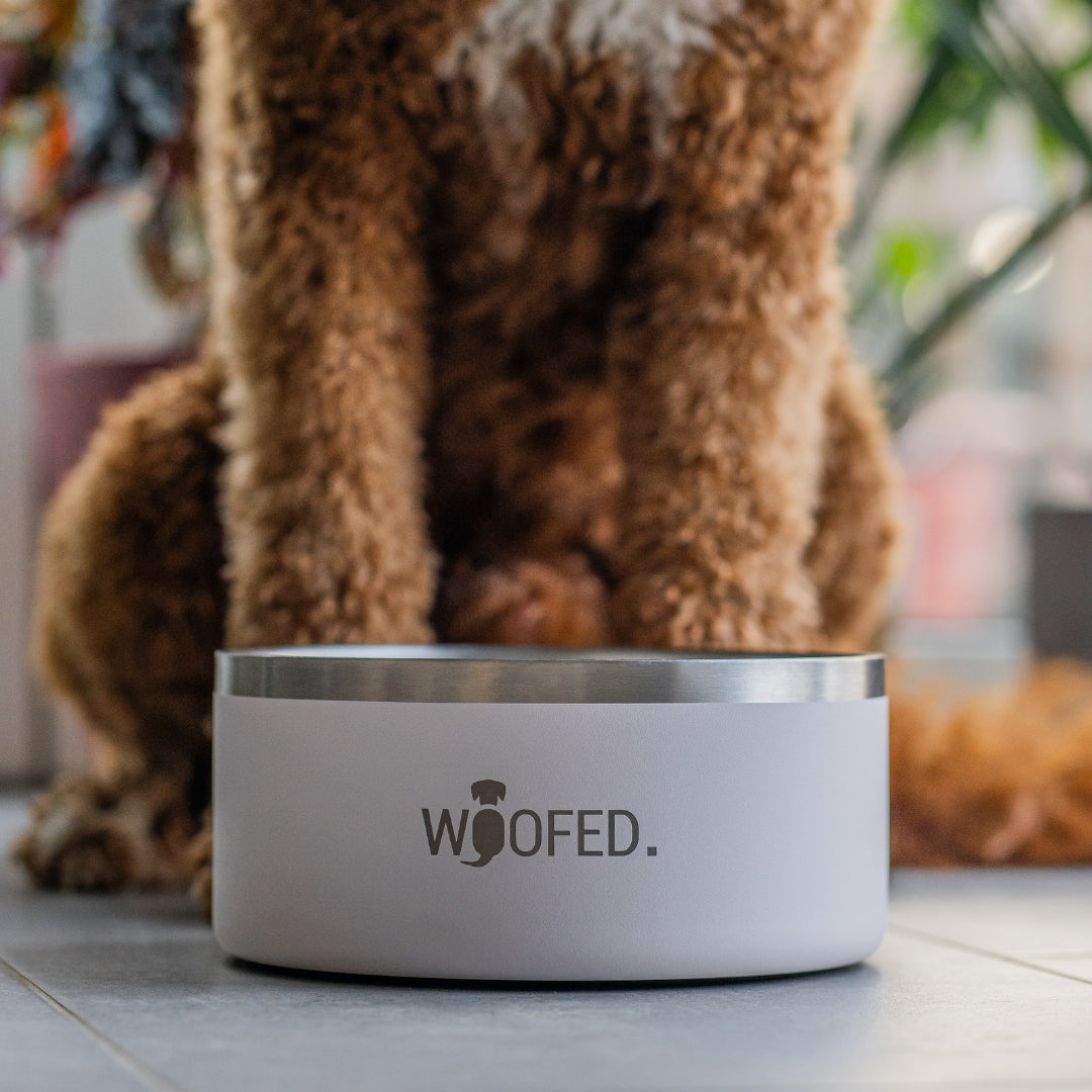 Premium Edelstahlnapf Pure White