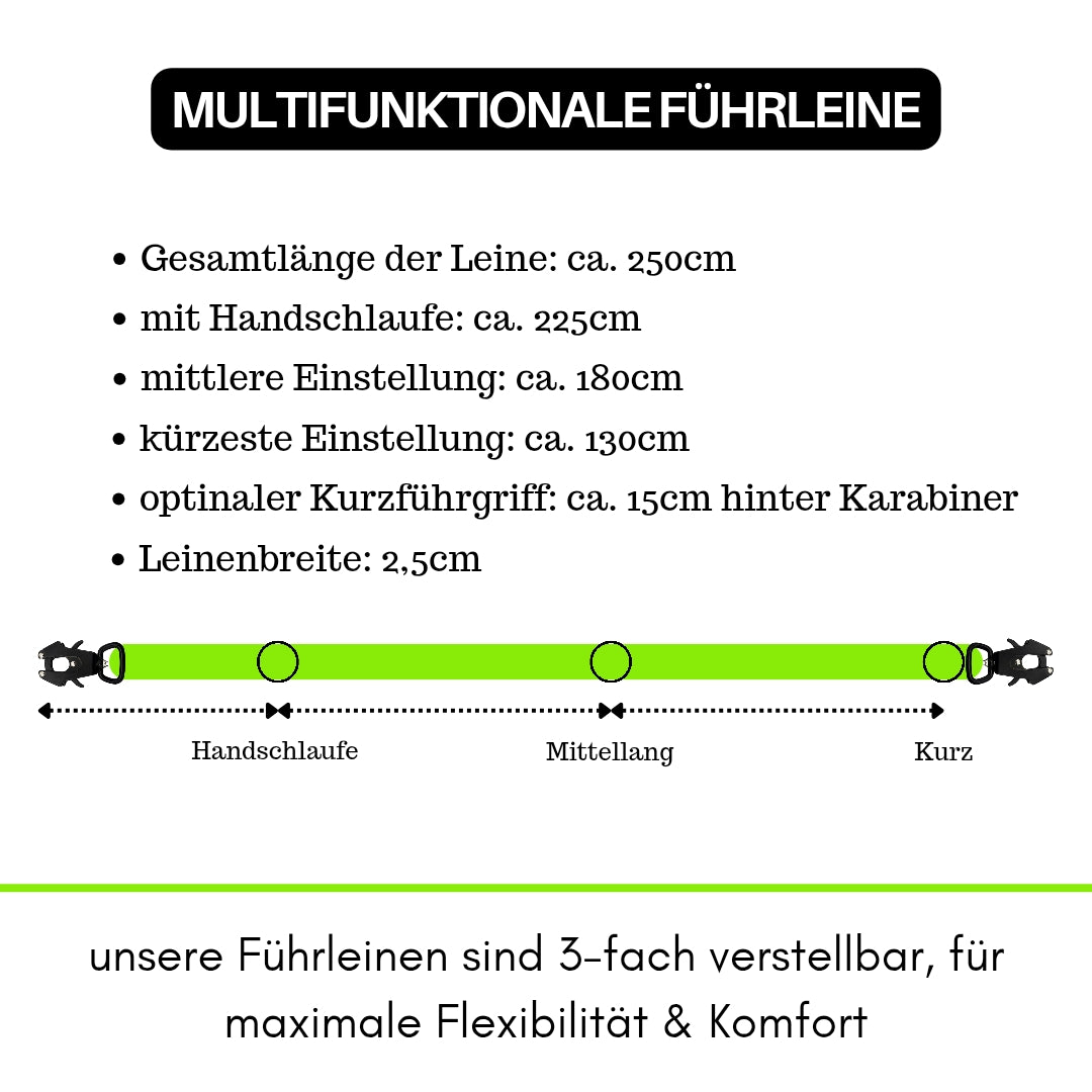 taktische Nylon Führleine Apple Green