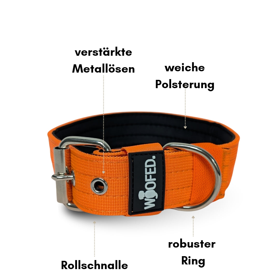 Nylon Classic Halsband Safety Orange