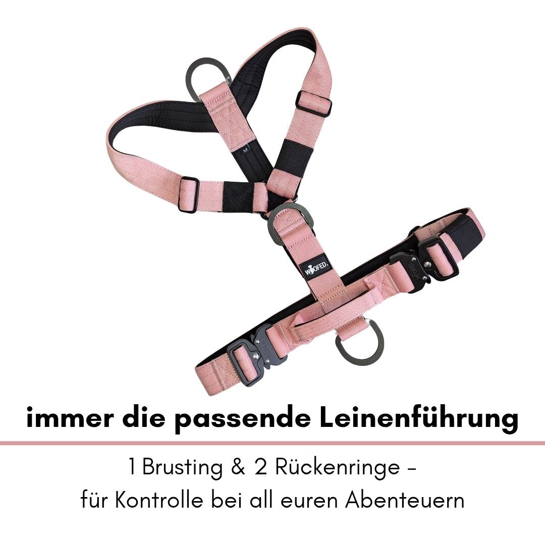 Y-Hundegeschirr 4fach-verstellbar mit Griff und Sicherheitsschnallen DUSTY ROSE - ultraleicht