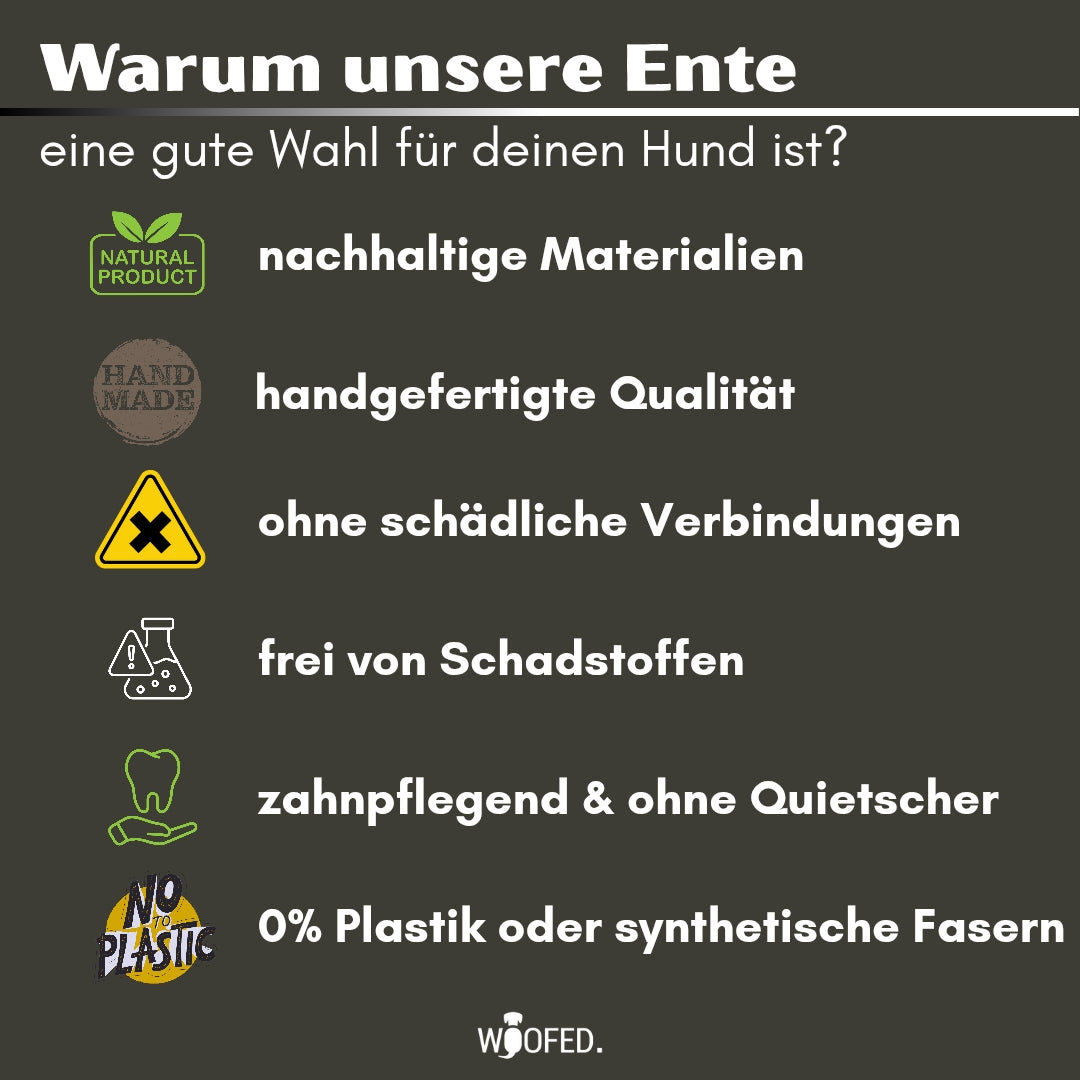 nachhaltiges Hundespielzeug Ente Ella