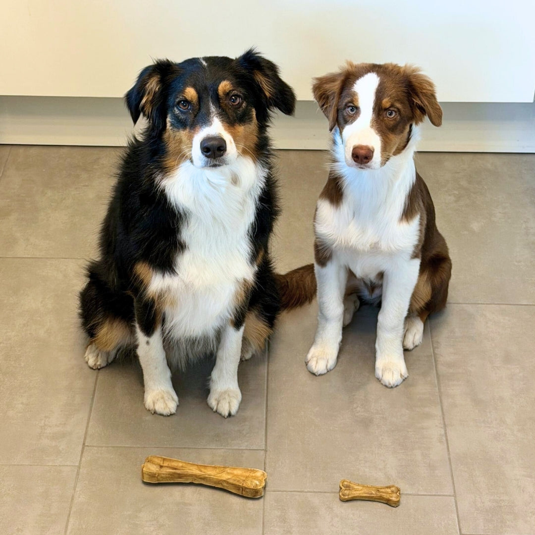 Büffelhaut Kauknochen