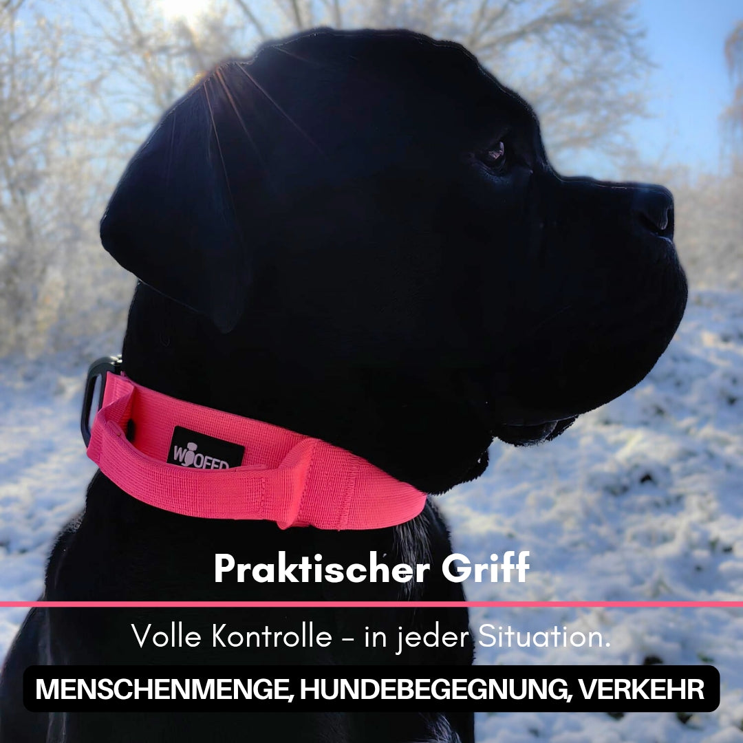 taktisches Nylon Halsband Pink Bloom - ultraleicht