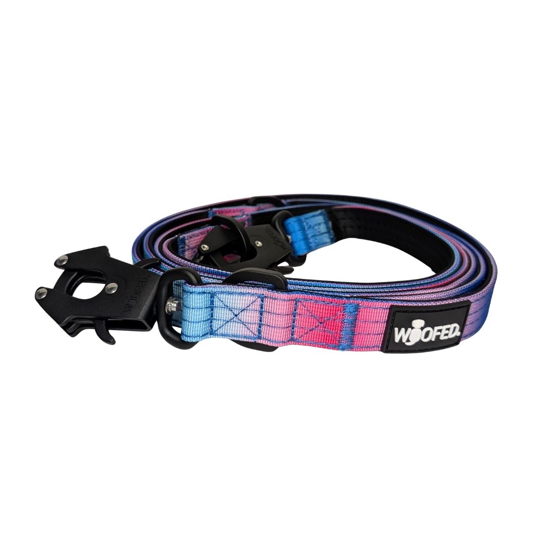 taktische Nylon Führleine Pink Blue Sky