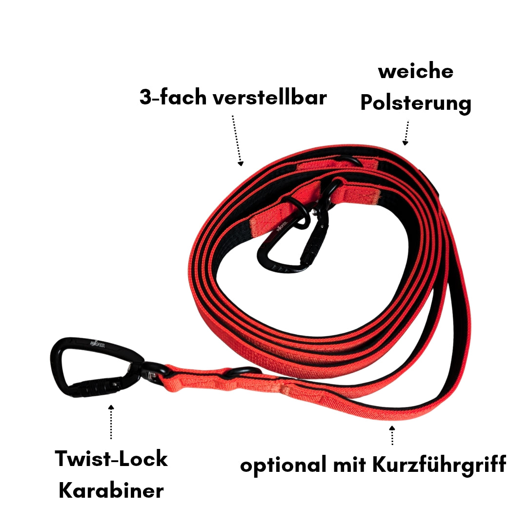 Nylon Pro Führleine Rosso Red