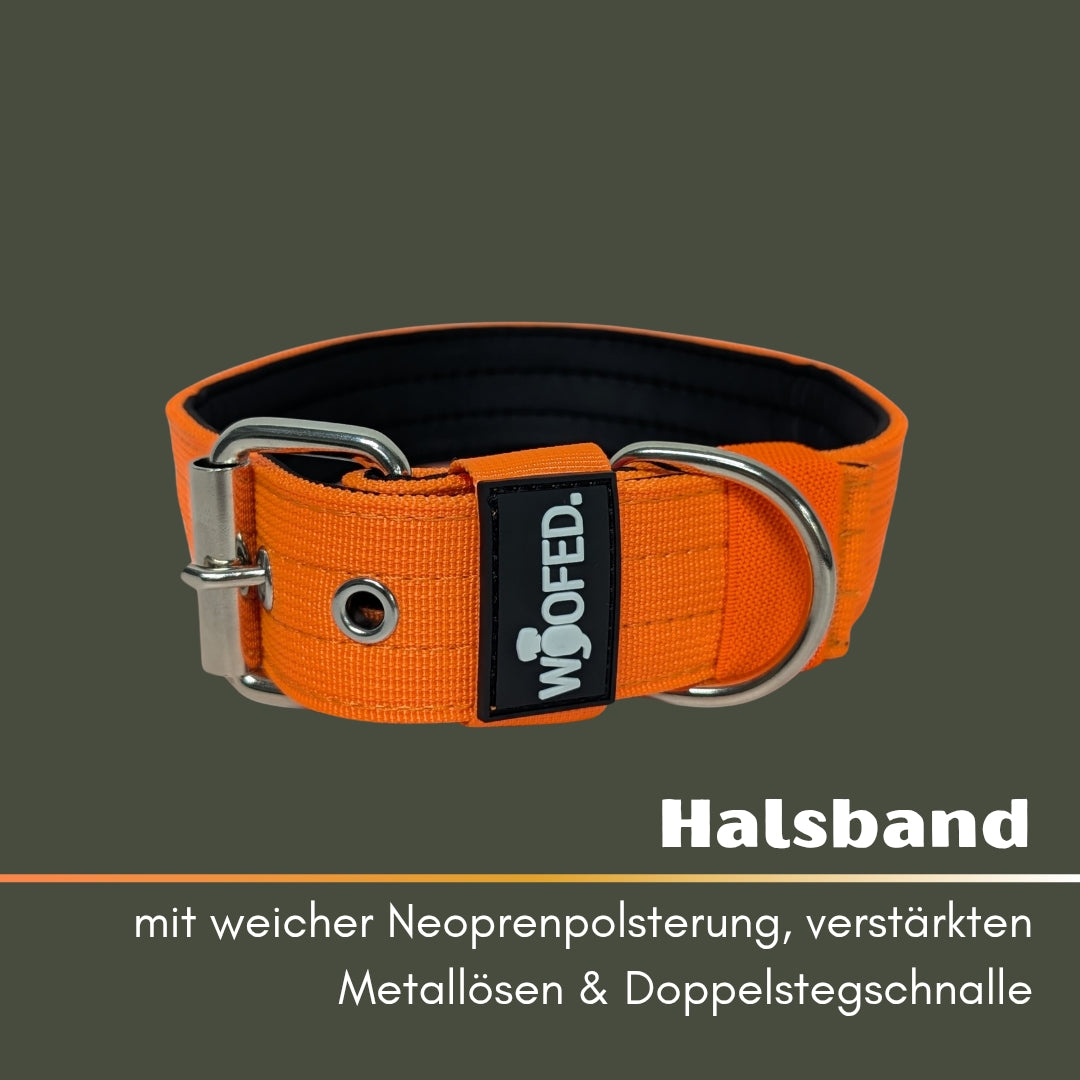 Nylon Classic Halsband Safety Orange