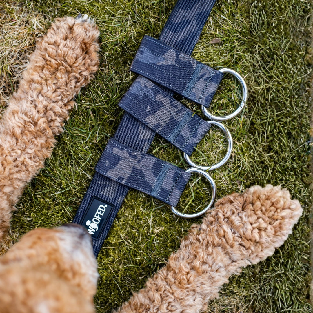 Gassigürtel Black Camo - verstellbar mit taktischer Schnalle - ultraleicht