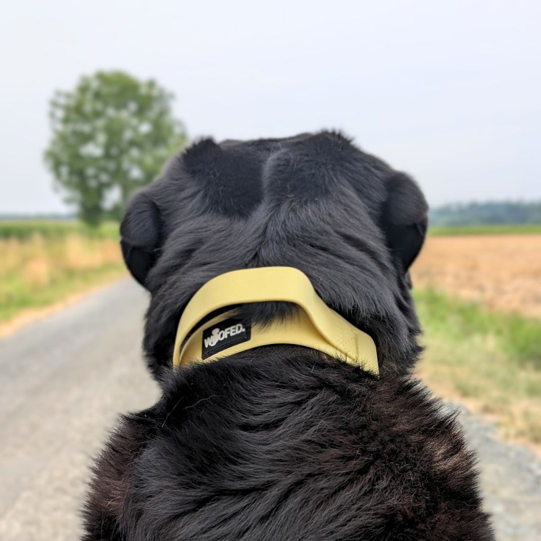 Halsband WOOFLEX® Tactical verstellbar mit Griff Lemon Grass