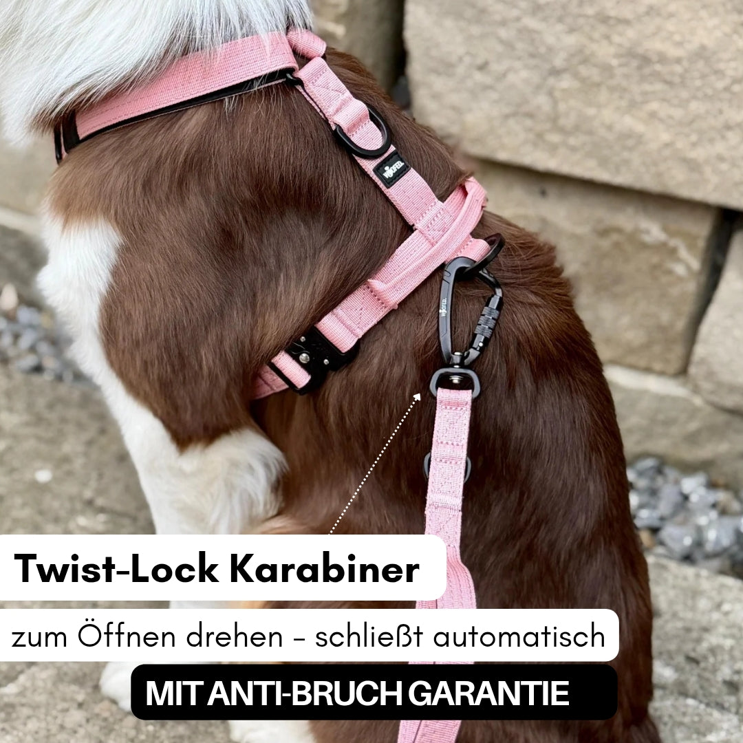 Nylon Pro Führleine Dusty Rose