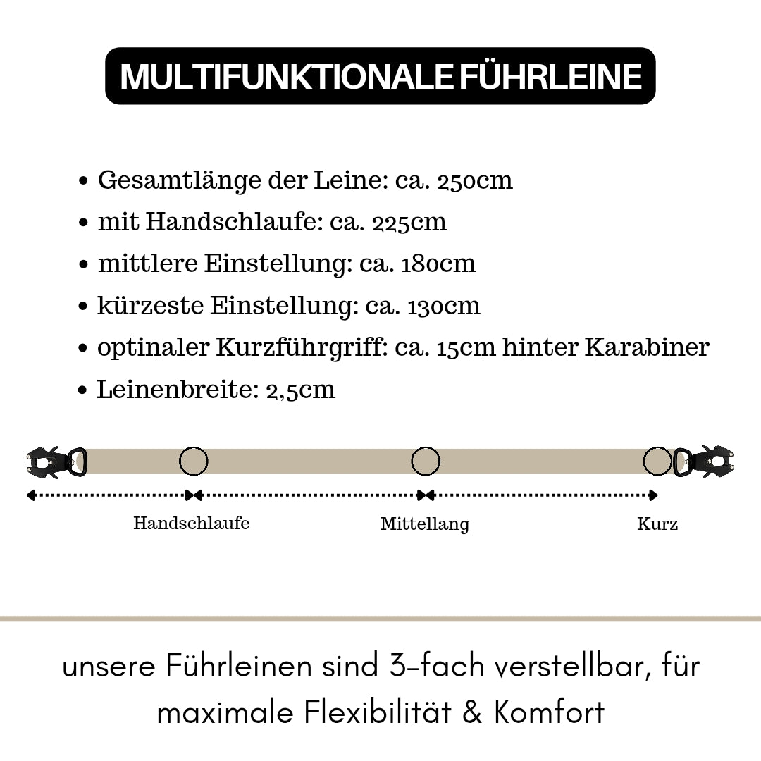 Nylon Halsband-Leine-Set Desert Tan ultraleicht