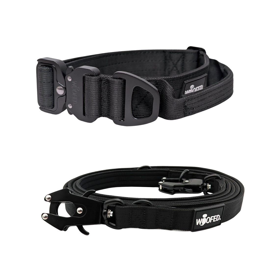 Nylon Halsband-Leine-Set Deep Black ultraleicht