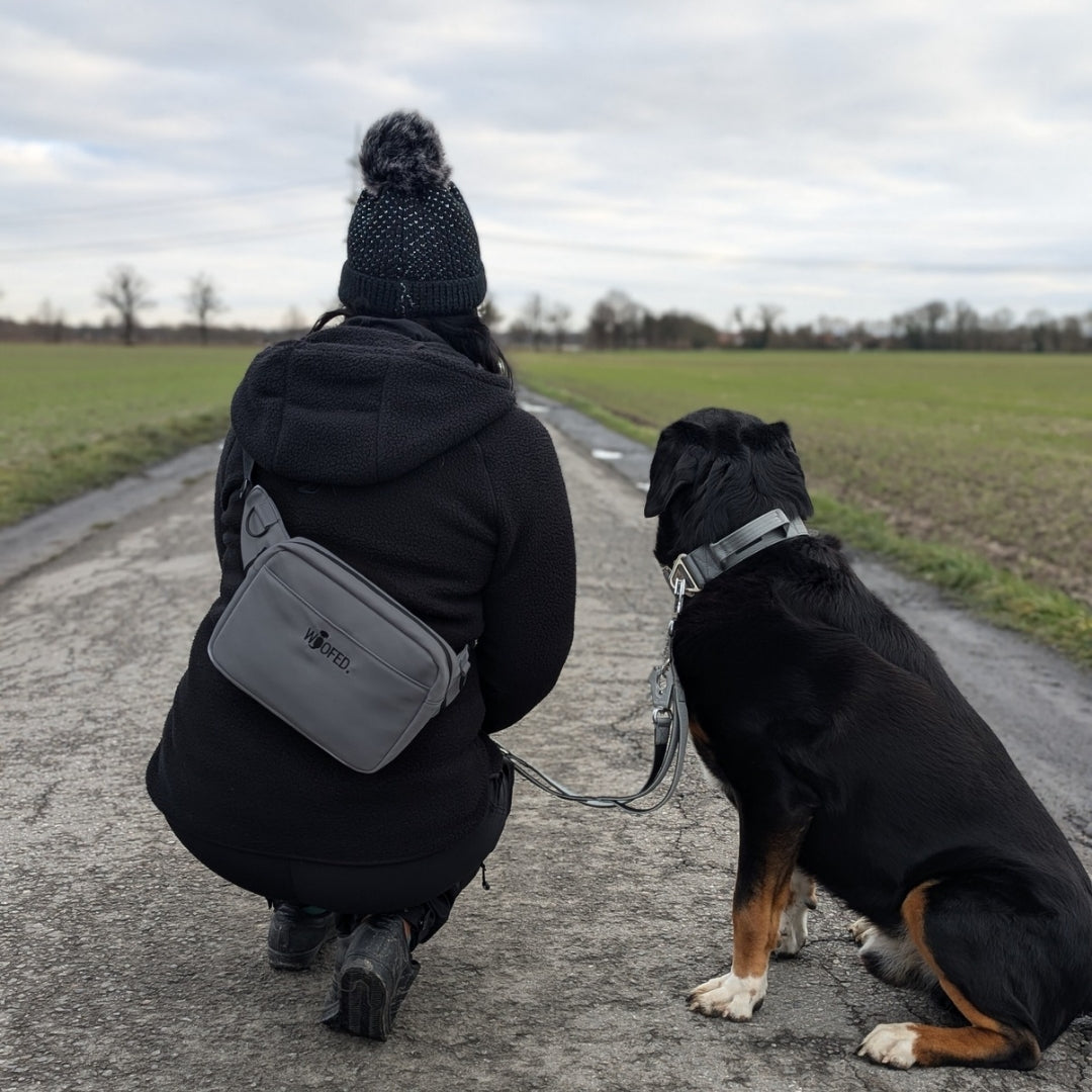 Graue 2‑in‑1 Gassitasche quer getragen, rechteckige Front mit Logo, Rückenansicht einer Person neben sitzendem Hund auf Feld-